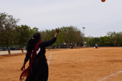 DSC00515