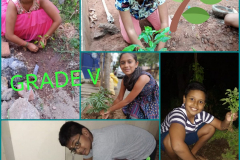 WORLD ENVIRONMENT DAY